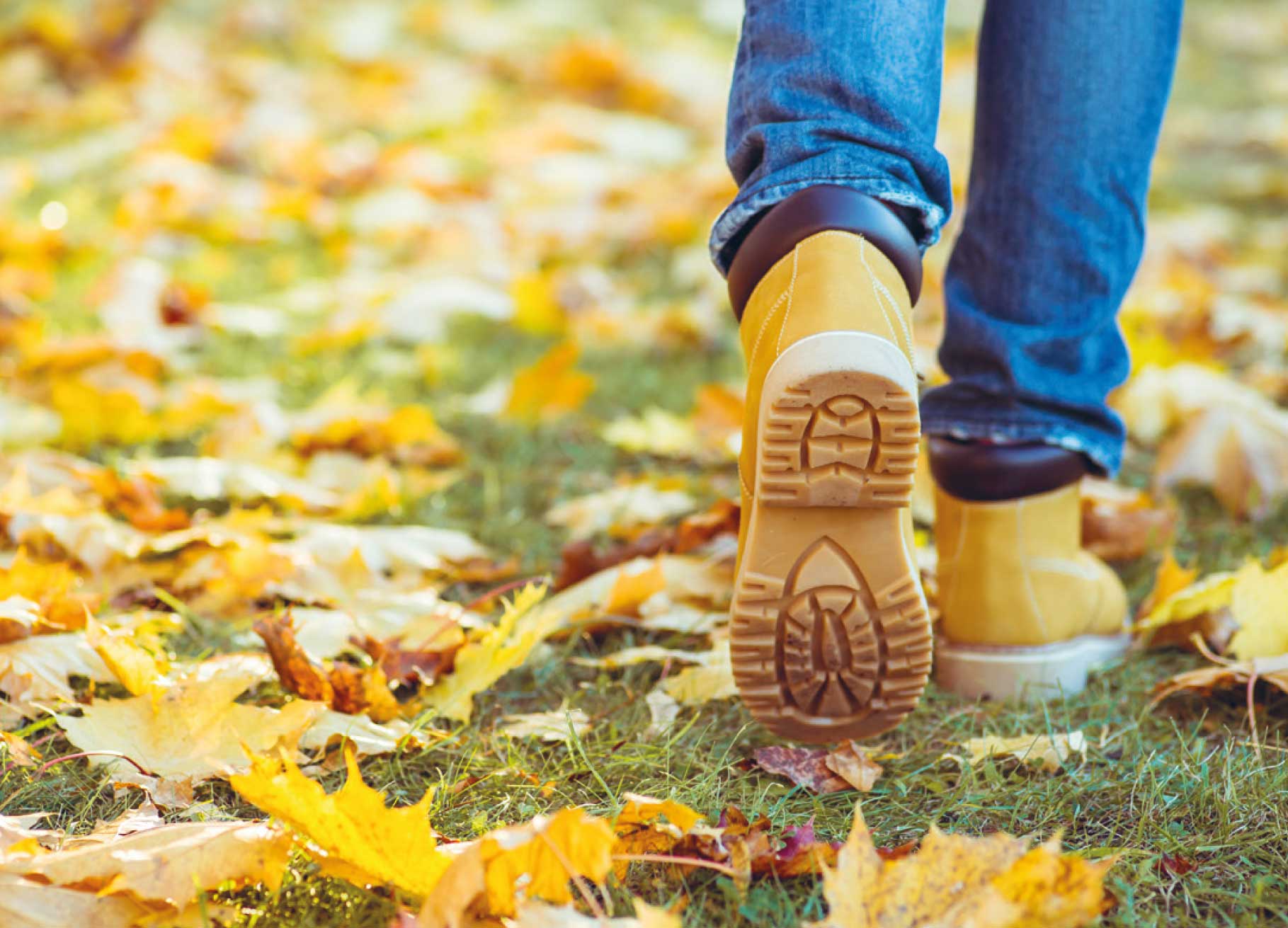 OOeT_HM5-22_Karte-A6_148x105mm_Vorderseite